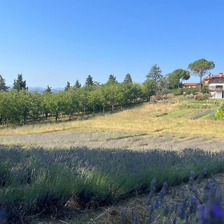 Agriturismo Villa Beatrice Mondavio Exteriér fotografie